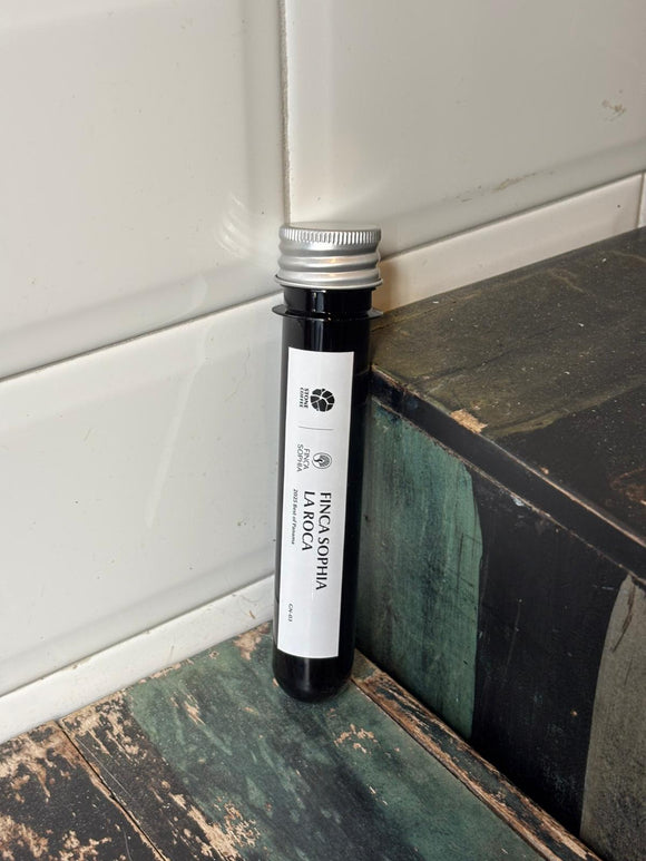 2025 Best of Panama GN-03 Finca Sophia La Roca Geisha Natural